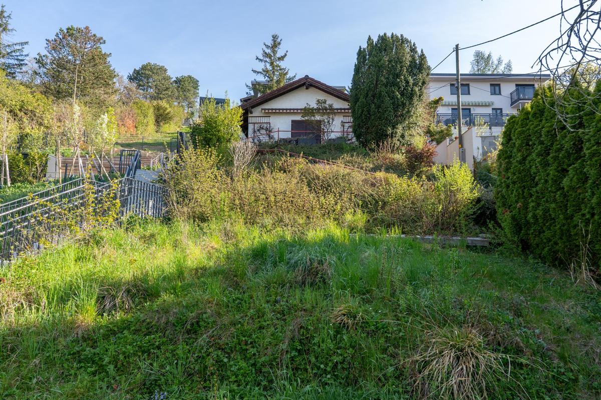 03_Garten Blick zum Sommerhaus