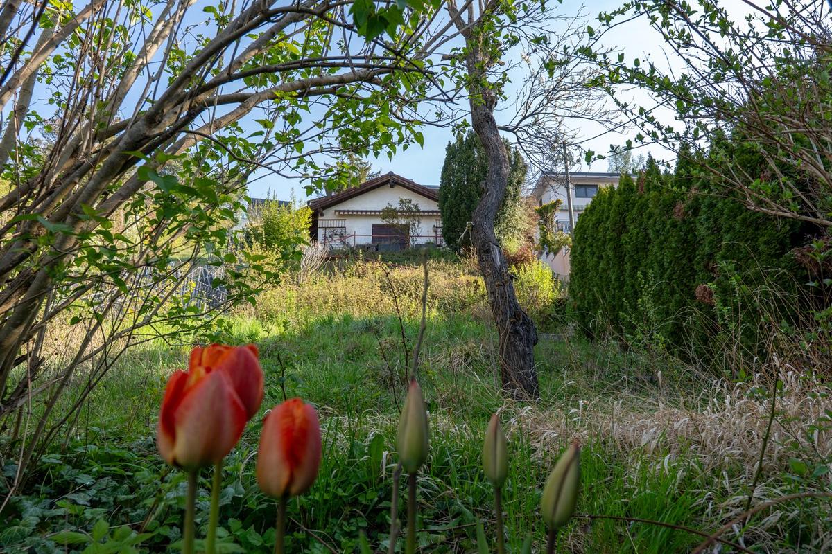 07_Garten Blick hinauf