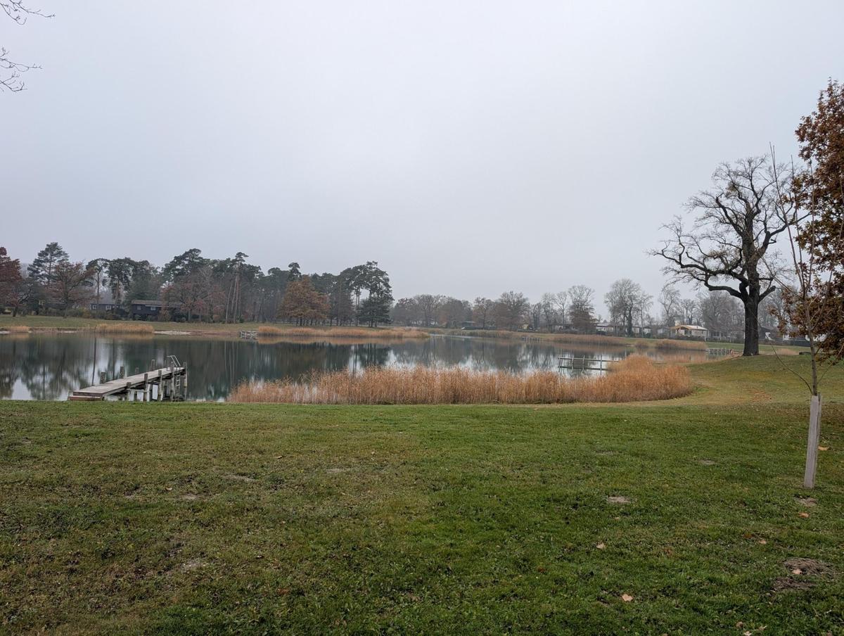 PXL_20251112_134938812.RAW-01.COVER