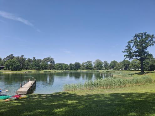"Ferienhaus am Waldsee"