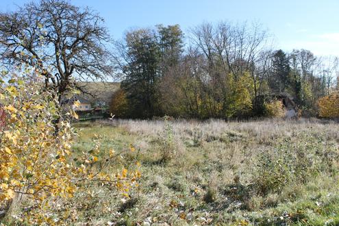 &quot;Jede Menge Platz!&quot;