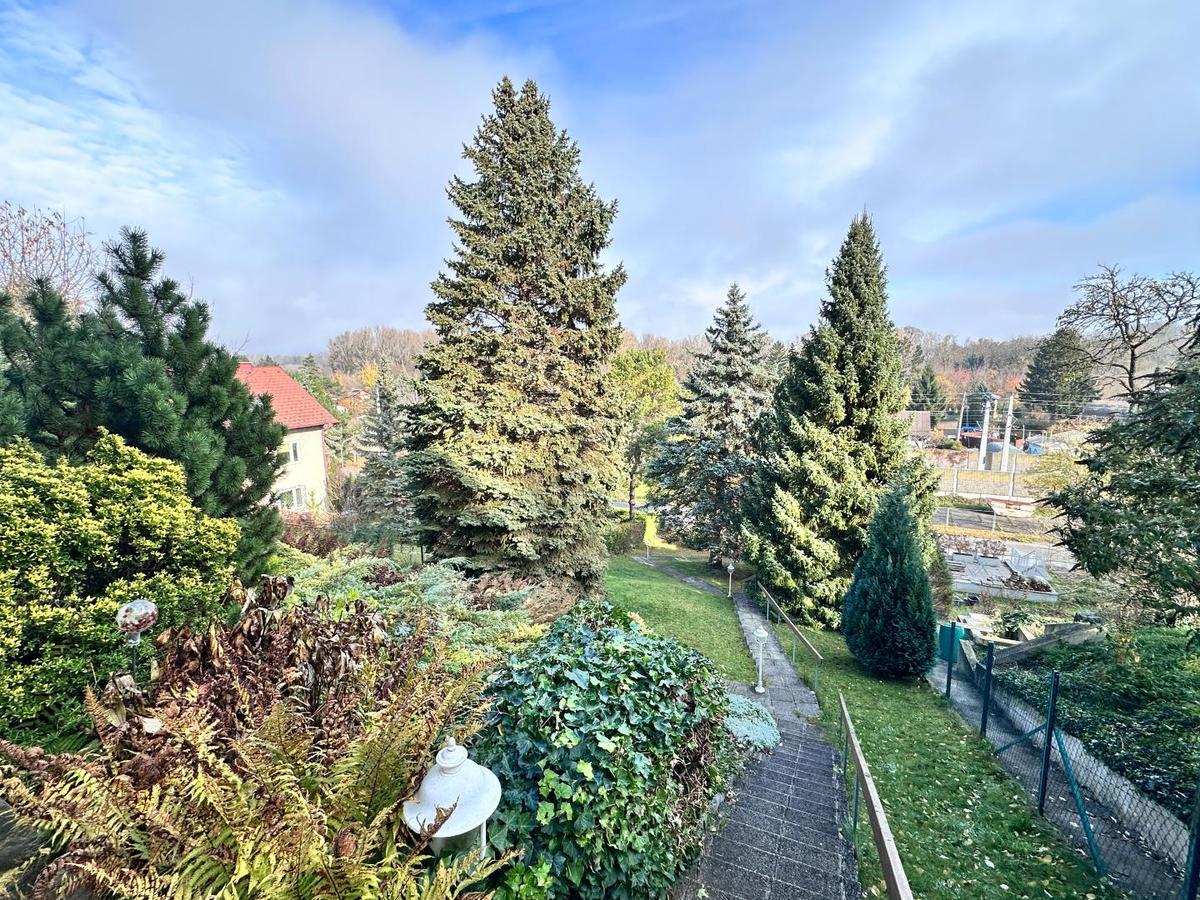 06_Grner Ausblick in den Garten