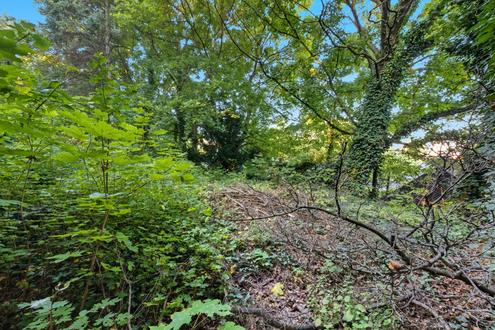 Aehnliche Immobilie - Vorschaubild 2