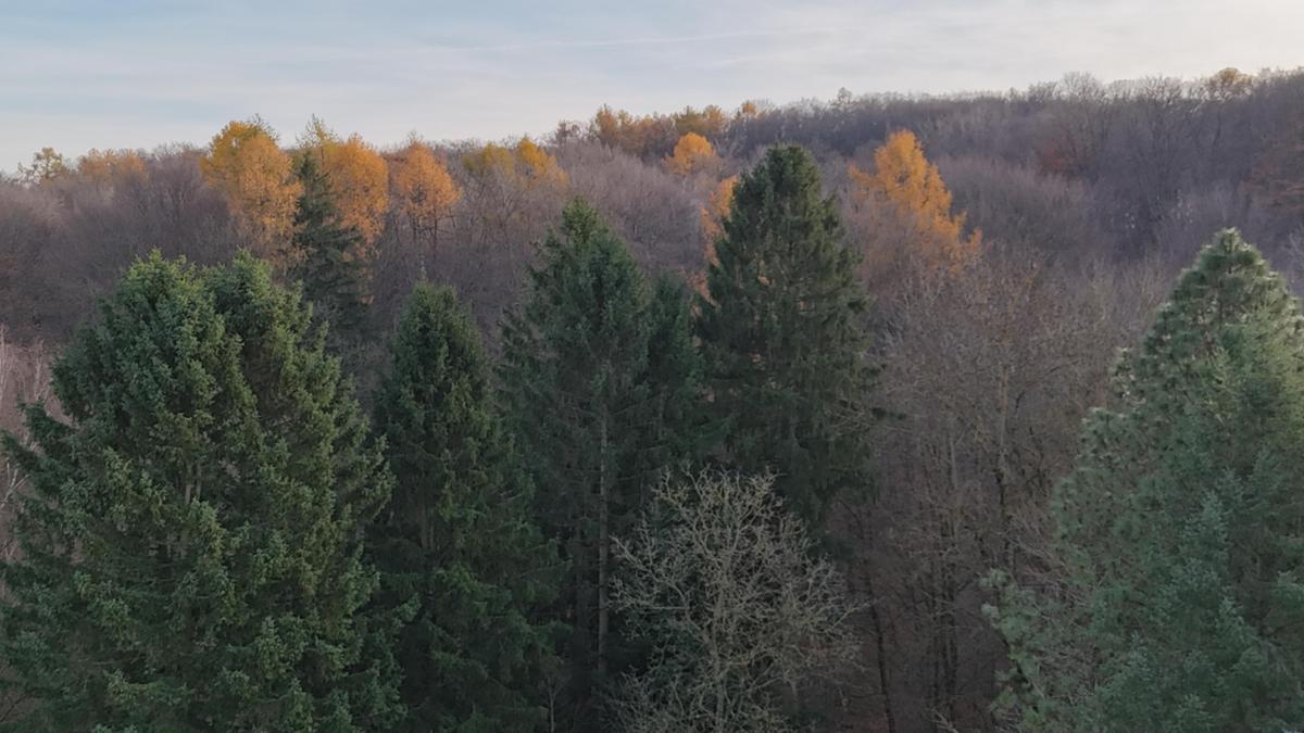 09 Aussicht vom Balkon