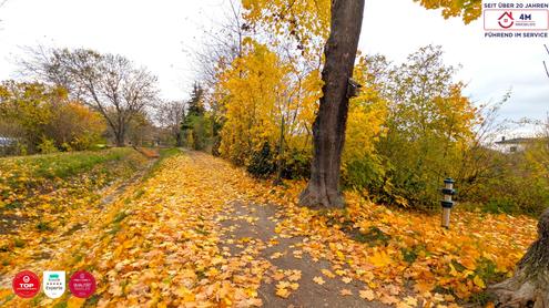 Familientraum in Retz ? Baugrundstck ohne Bauzwang