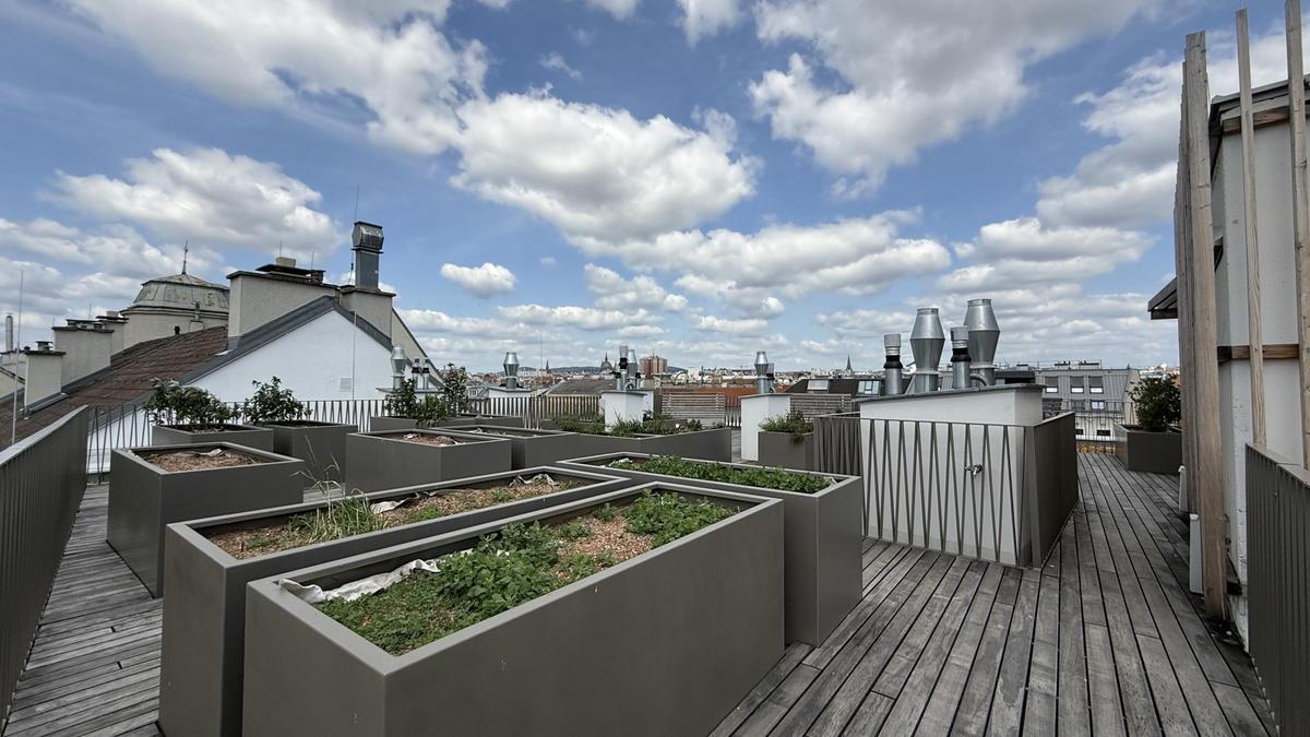 Allgemeine Dachterrasse und Hochbeete