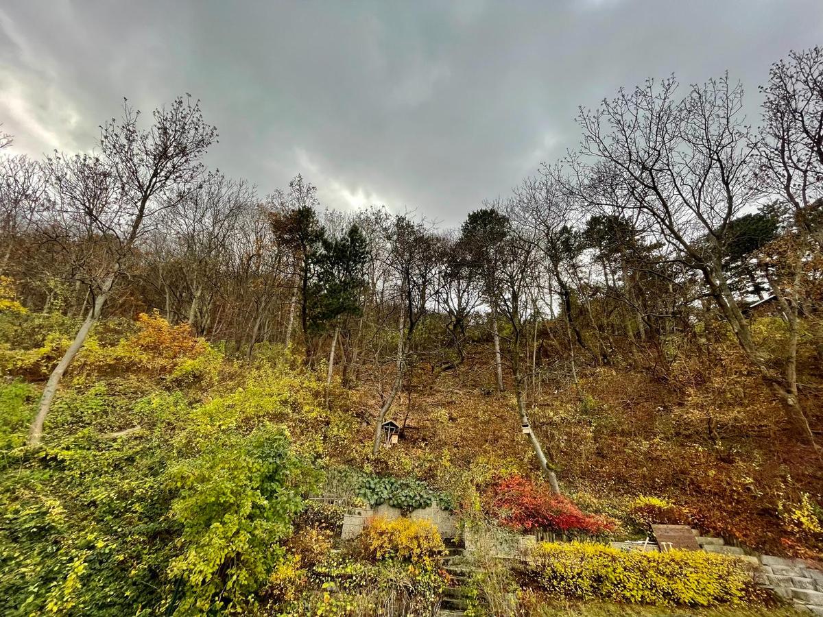 Blick von der unteren Terrasse