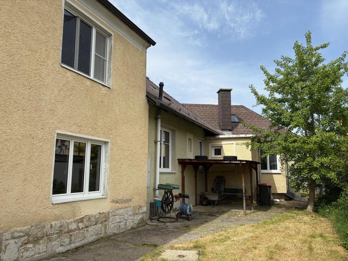 16 Terrasse+Ginseng Baum