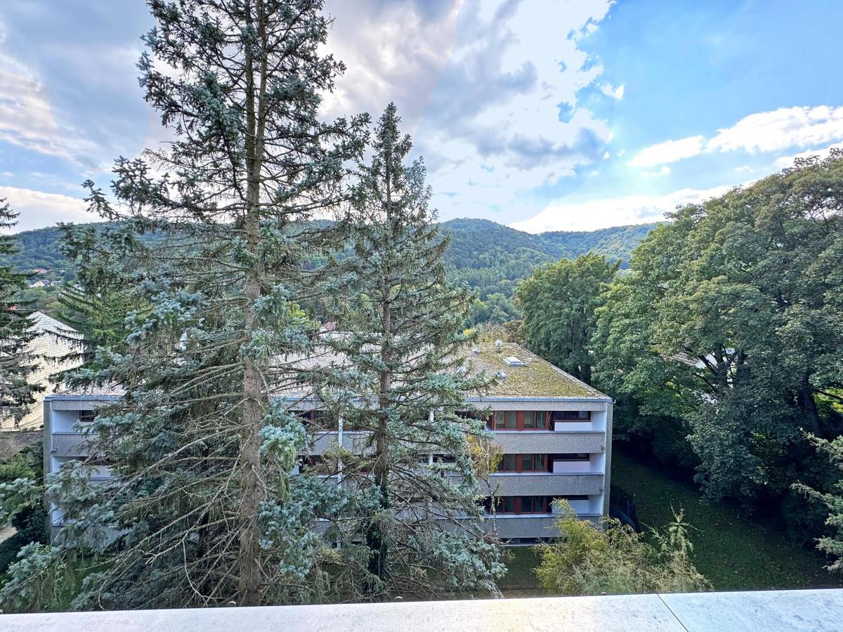 01 Ausblick Loggia_a