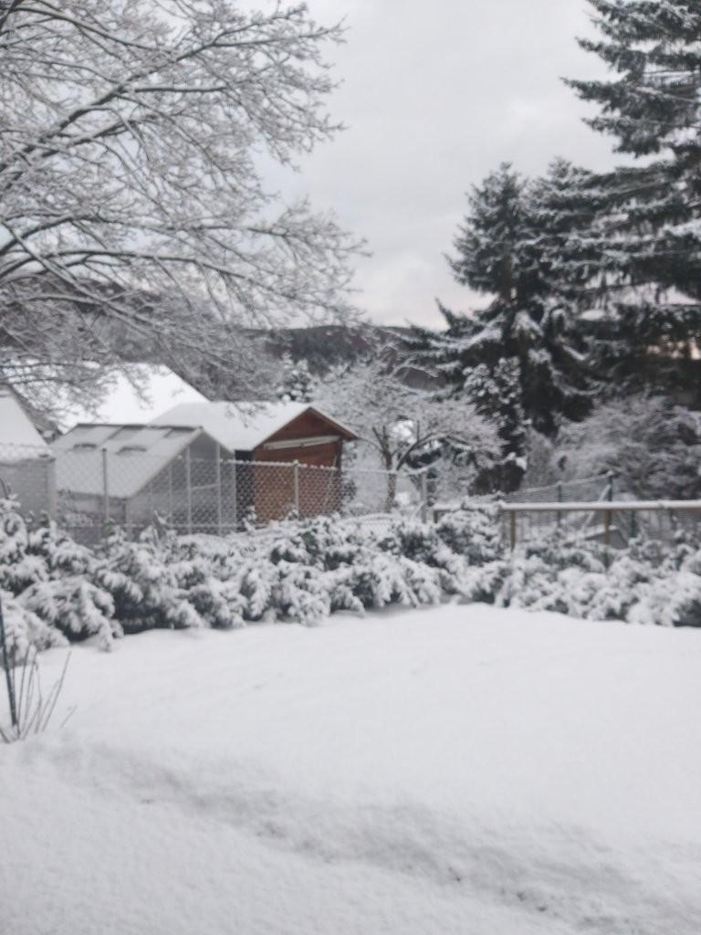 8 Winterimpression ETW 3004