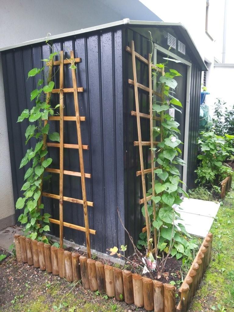 21 Gartenhaus ETW 3004