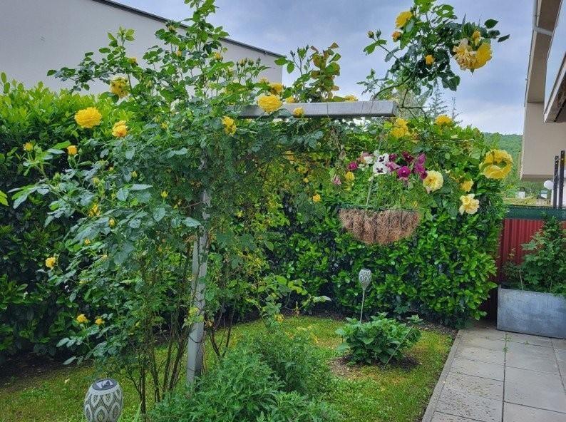 22 Rosengarten  ETW 3004