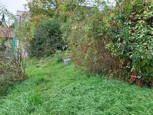 Genug Platz f�r Ihr Traumhaus!