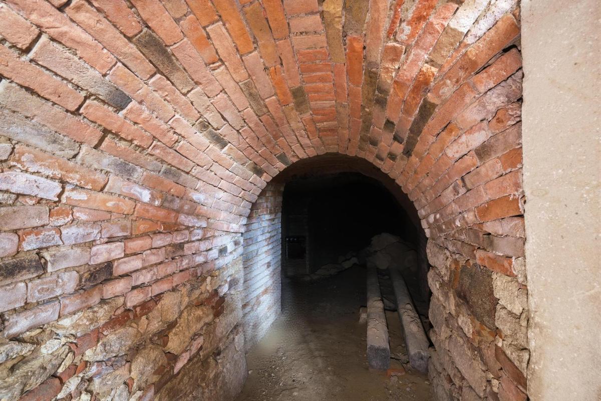 IMG_2622_autoremove_11818915