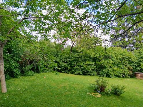 "Hier k�nnte bald Ihr neues Heim stehen!"