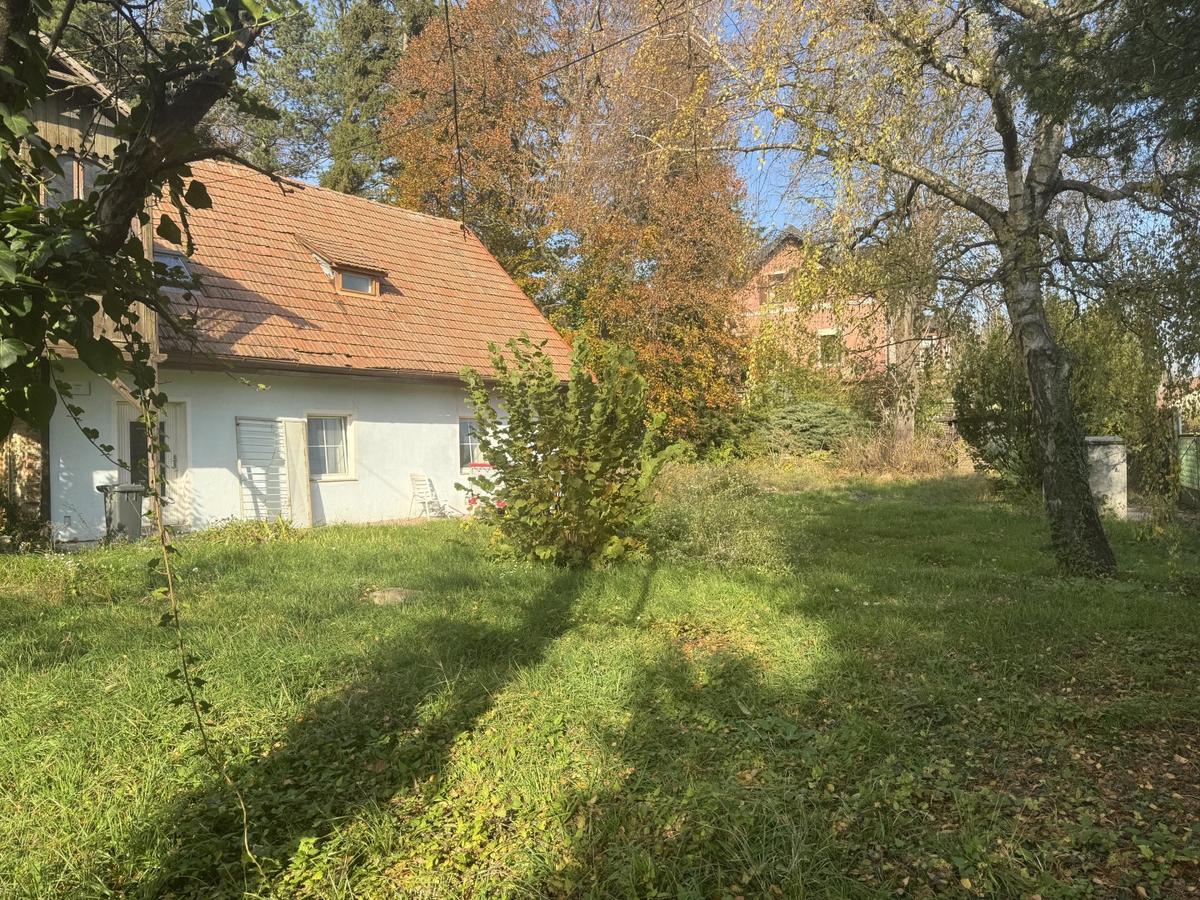 05 Baugrund in Katzelsdorf