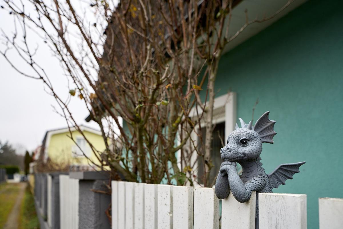 15. Au�enansicht Dino