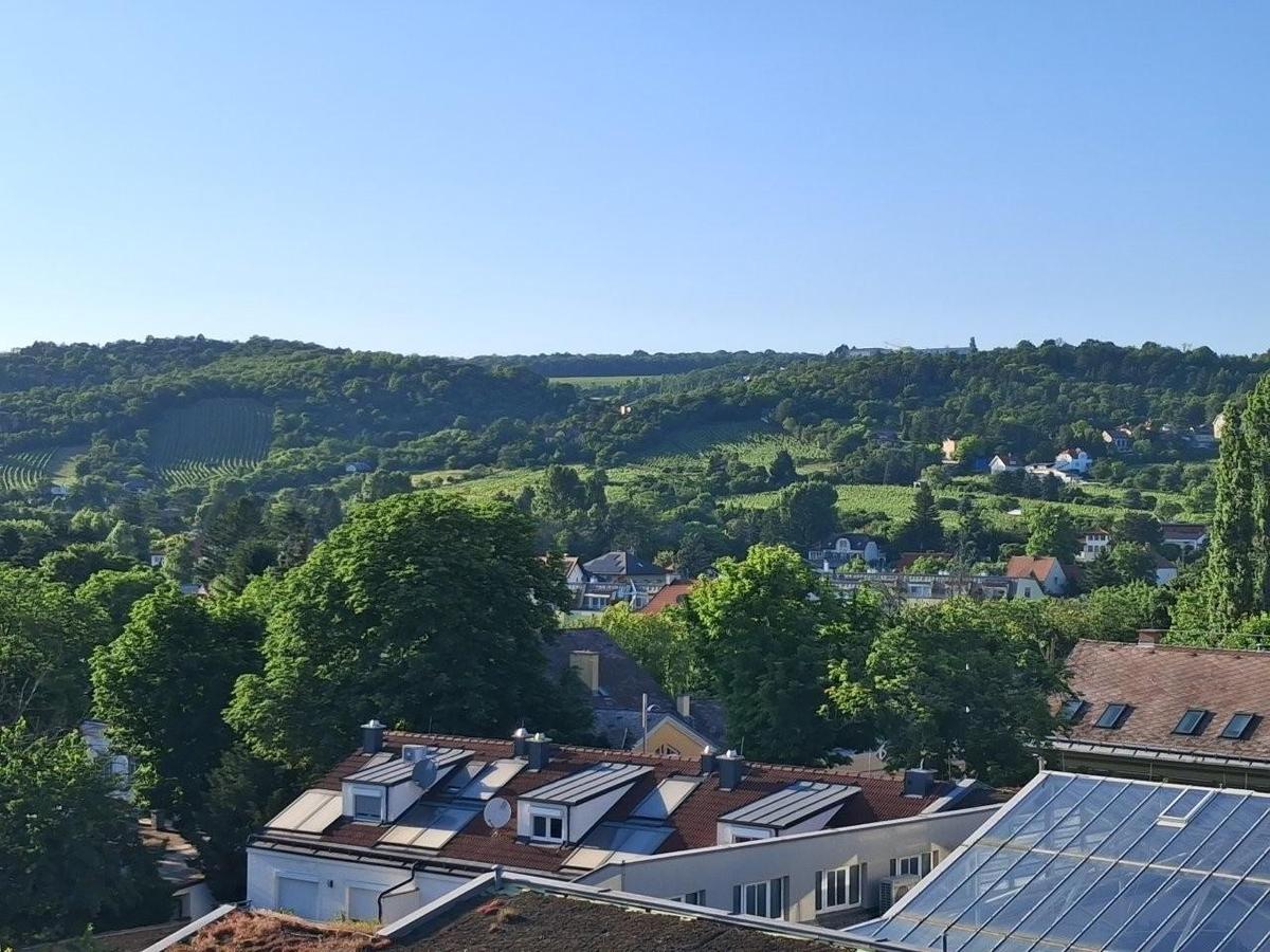 5 Traumausblick zum Bisamberg TerrassenPenthouse 1