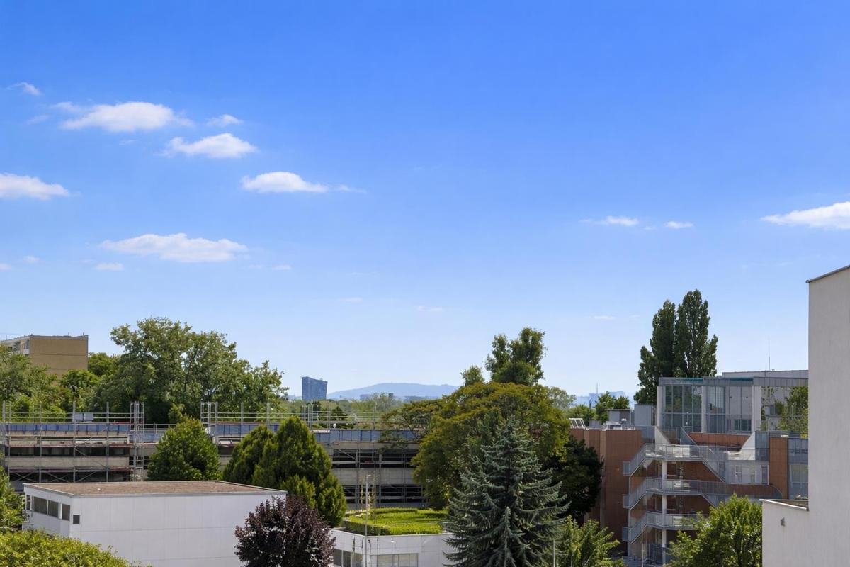 11 Terrasse Ausblick