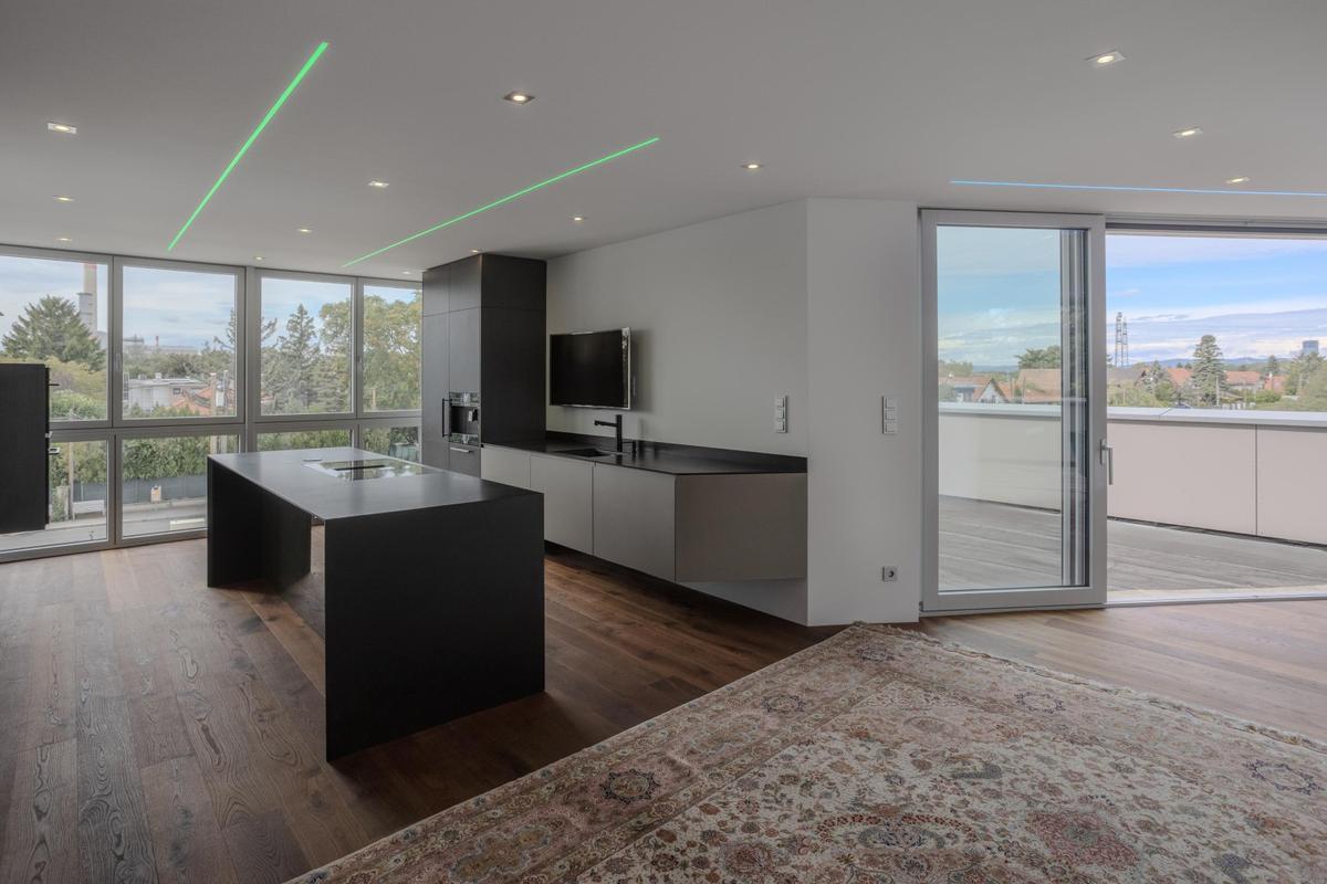 Penthouse 1220 Wien 1 OG