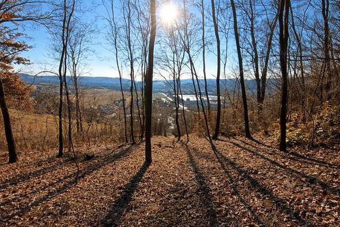 Aehnliche Immobilie - Vorschaubild 1