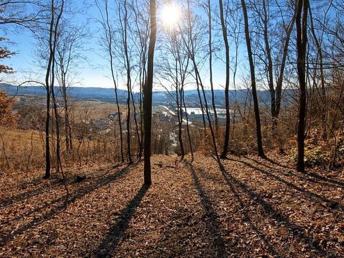 Natur vor der Haust�r ? Grundst�ck mit Weitblick und Gr�nlandanschluss