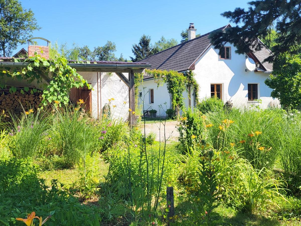 Kr�uter, Gem�se u. Obstgarten (2)
