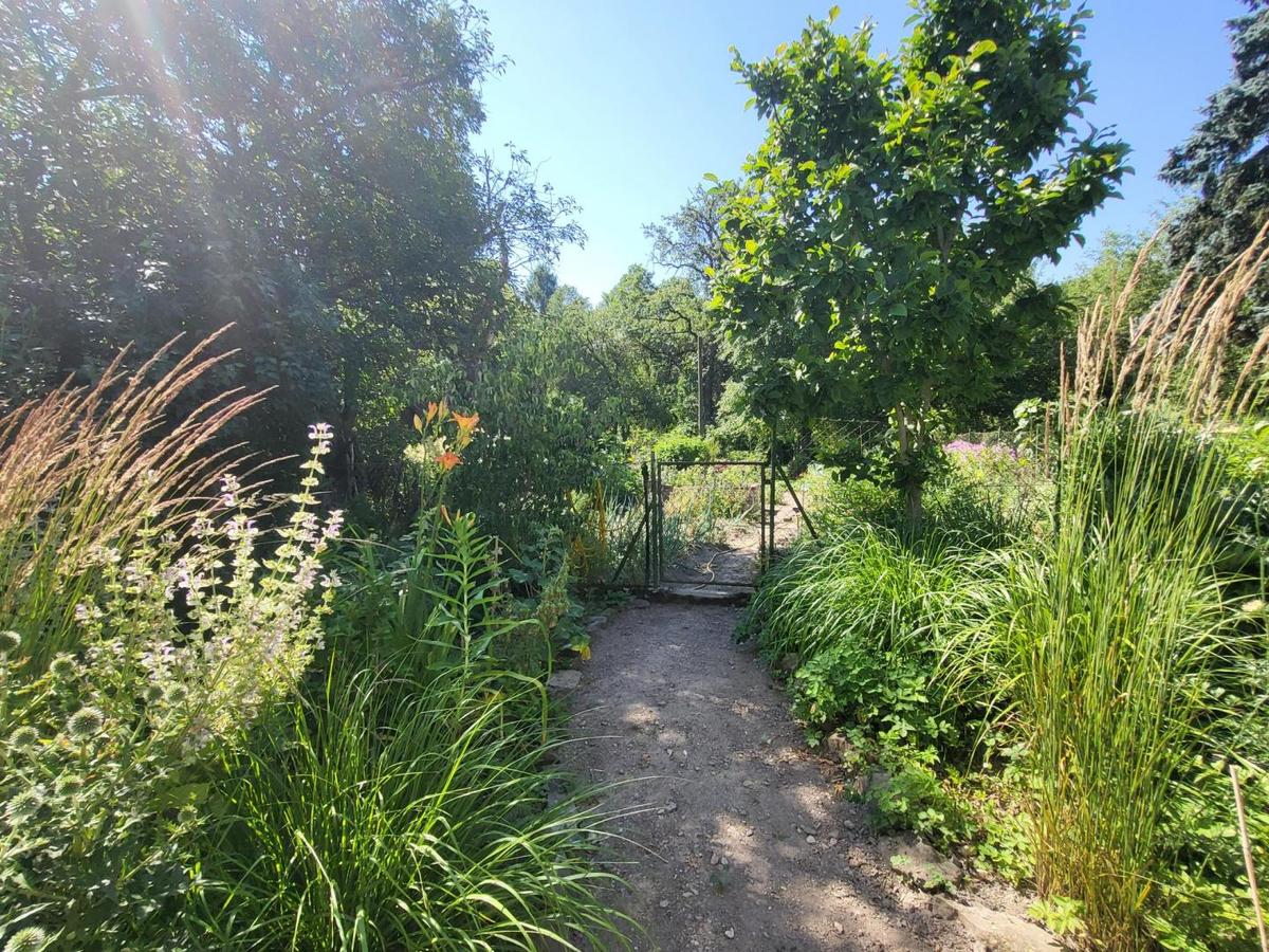 Kr�uter, Gem�se u. Obstgarten (6)