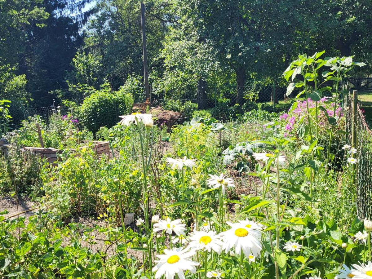 Kr�uter, Gem�se u. Obstgarten (8)
