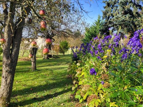 IDYLLISCHER LANDSITZ AUF ca. 3200m� BAULAND-AGRARGEBIET MIT VORR�BERGEHENDEM WOHNRECHT ZU VERKAUFEN.