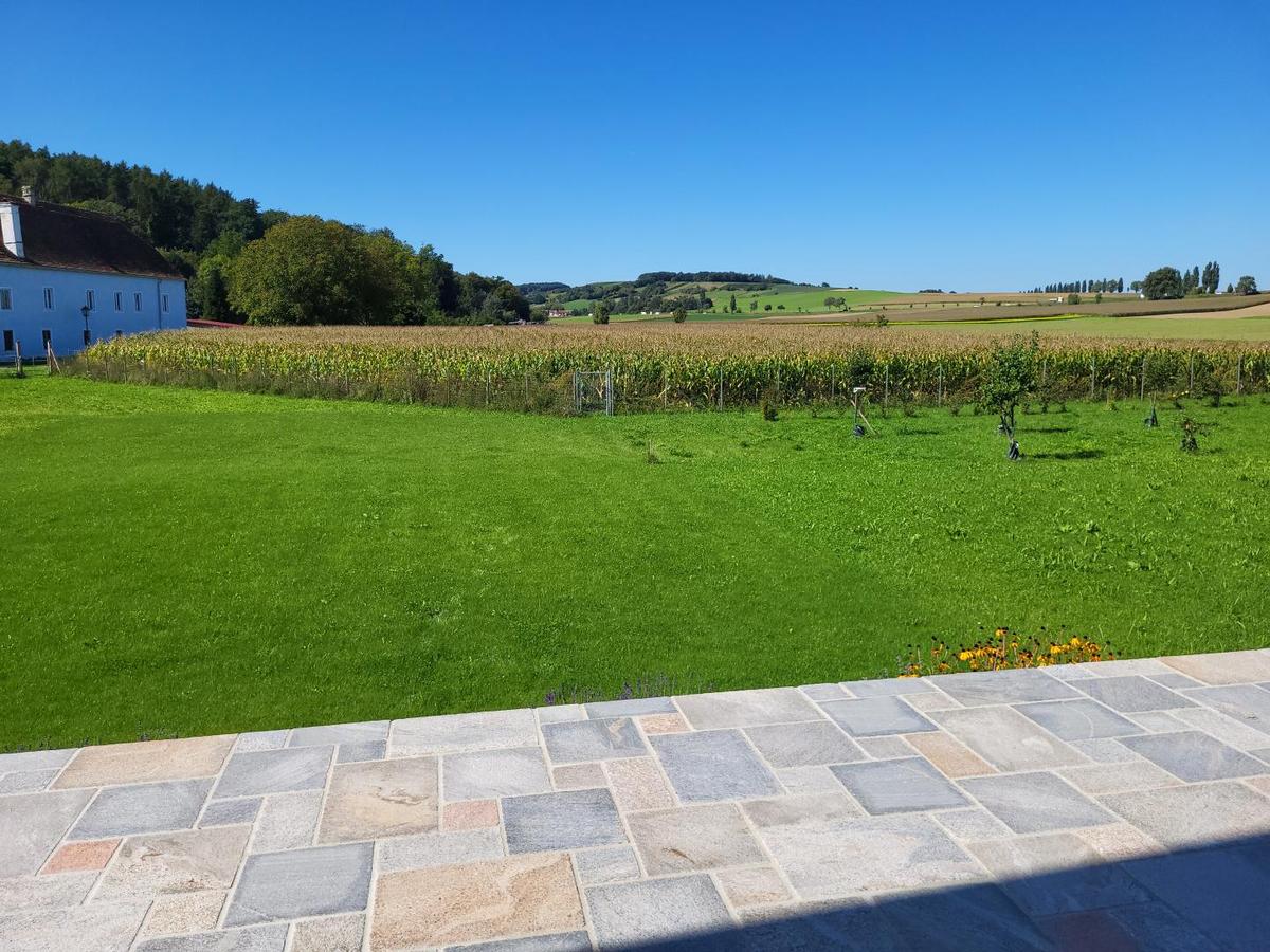 Blick von der Terrasse