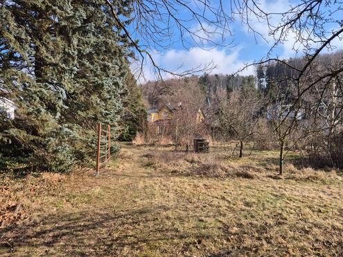 EBENES, SONNIGES BAUGRUNDST�CK MIT SCH�NEM BAUMBESTAND