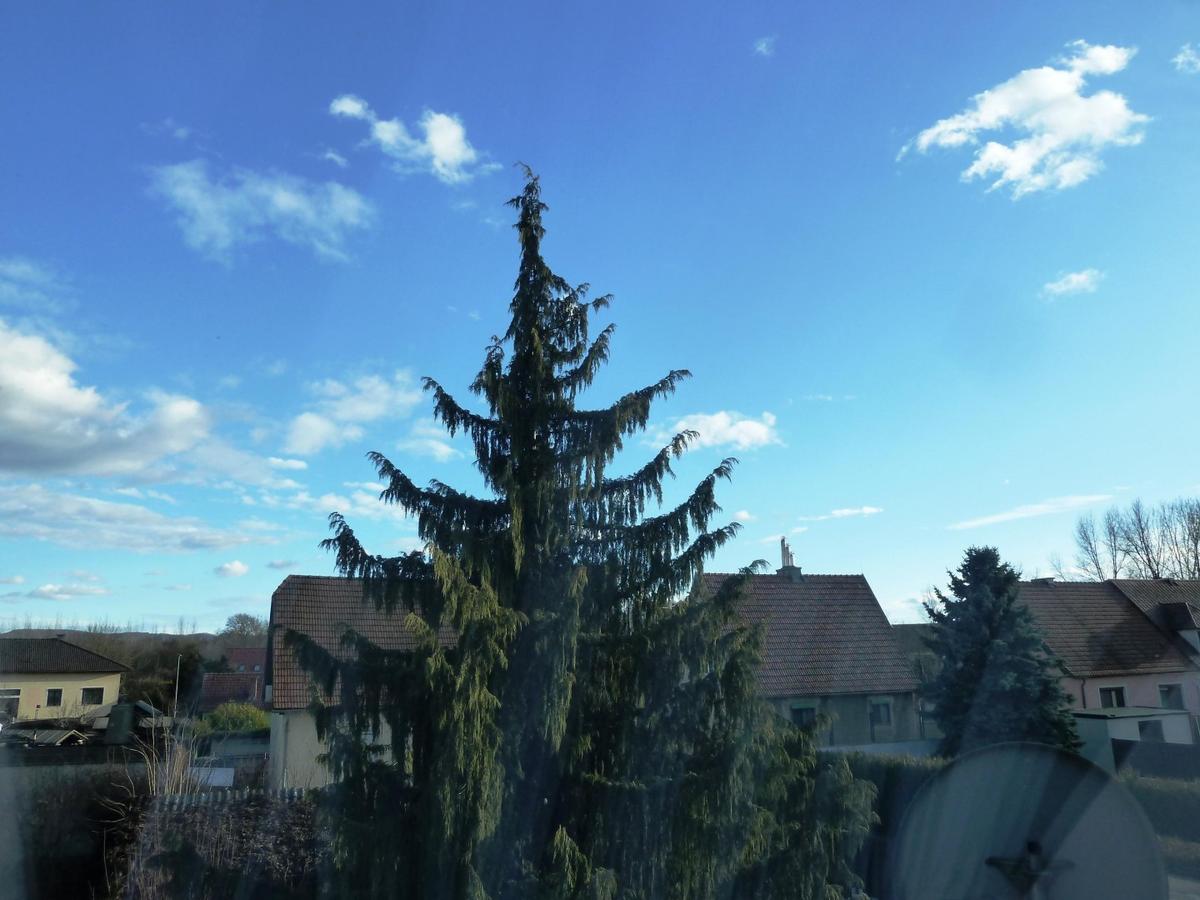 25 DHH 2000 Stockerau