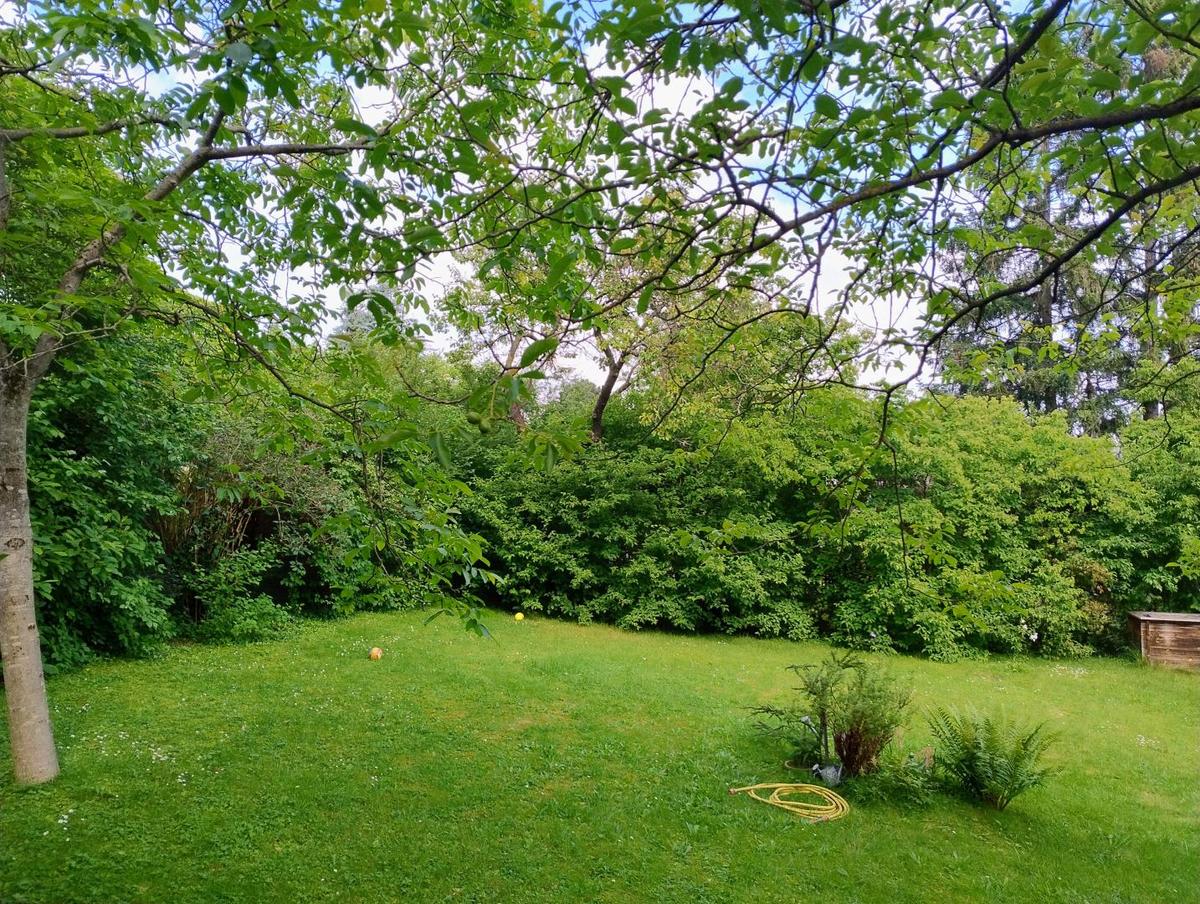 Garten 2