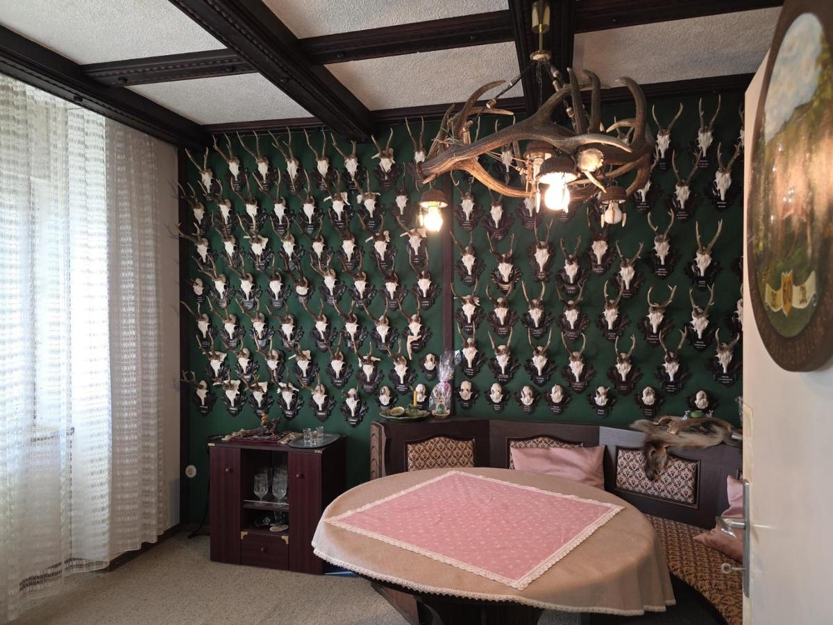 10 2000 EFH Jagdzimmer