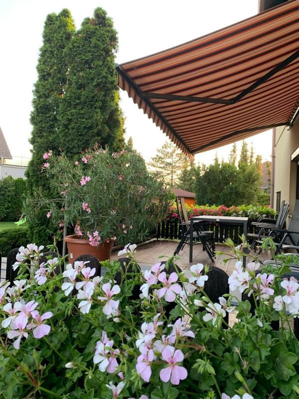 30 Sommer Impressionen