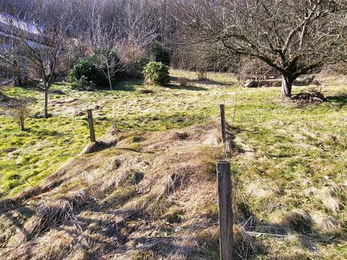 AN DER SONNENSEITE AM WALDRAND!