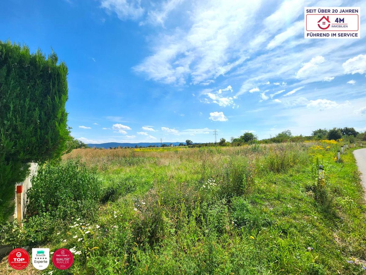 schr�ge Seitenansicht rechts