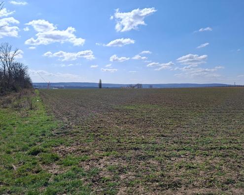 "ATTRAKTIVES GRUNDST�CK IN BRUCK AN DER LEITHA"