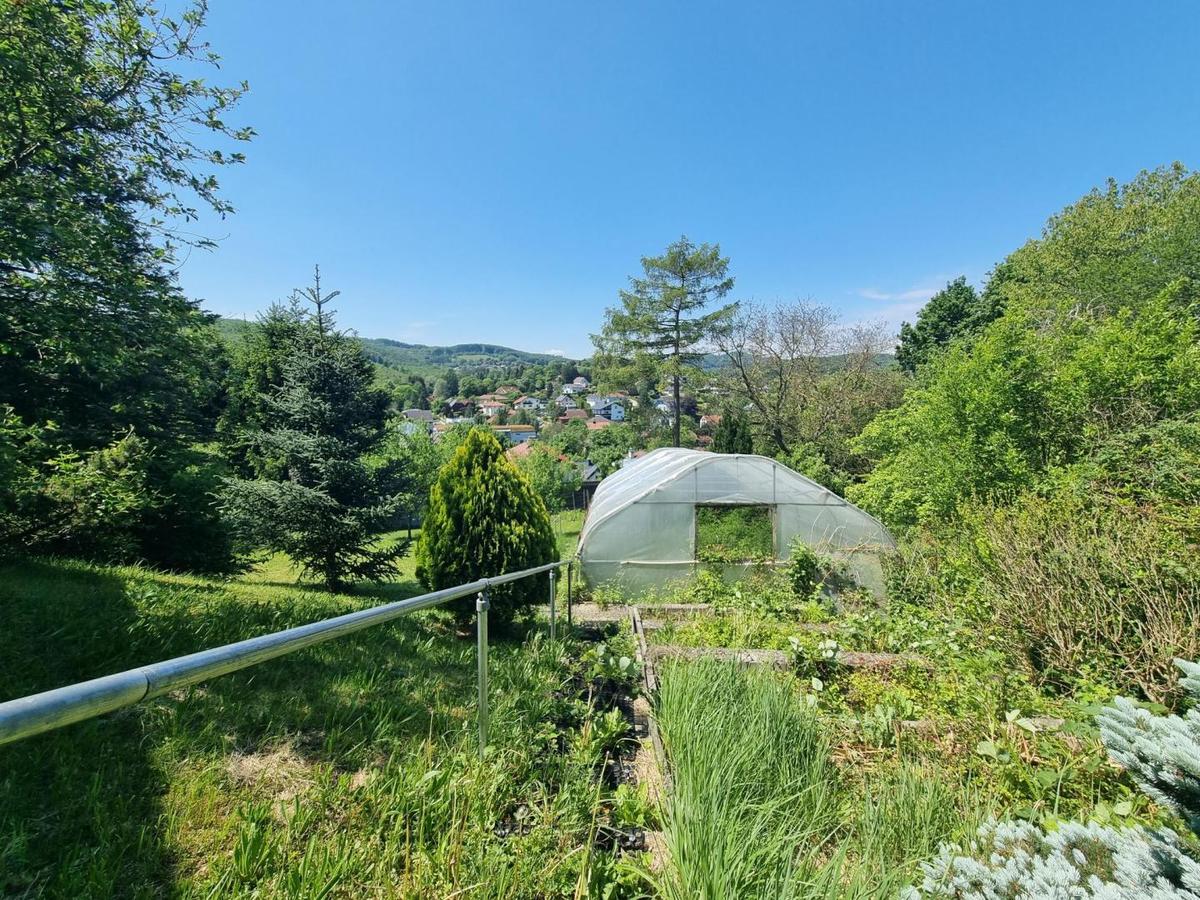 Gem�segarten