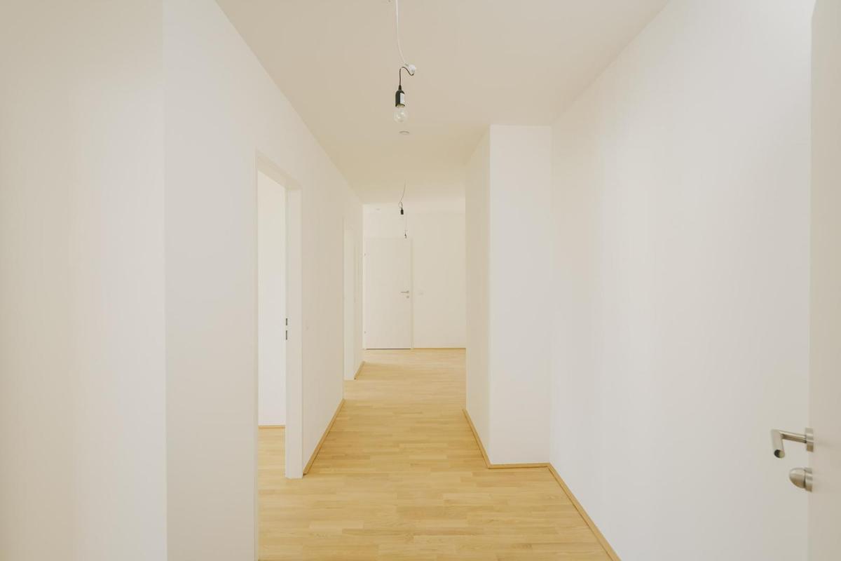 Vorraum,Bilder einer fast identen Wohnung