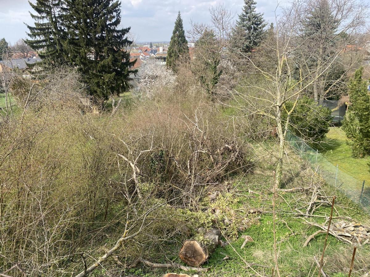 2 Baugrundst�ck in K�nigstetten