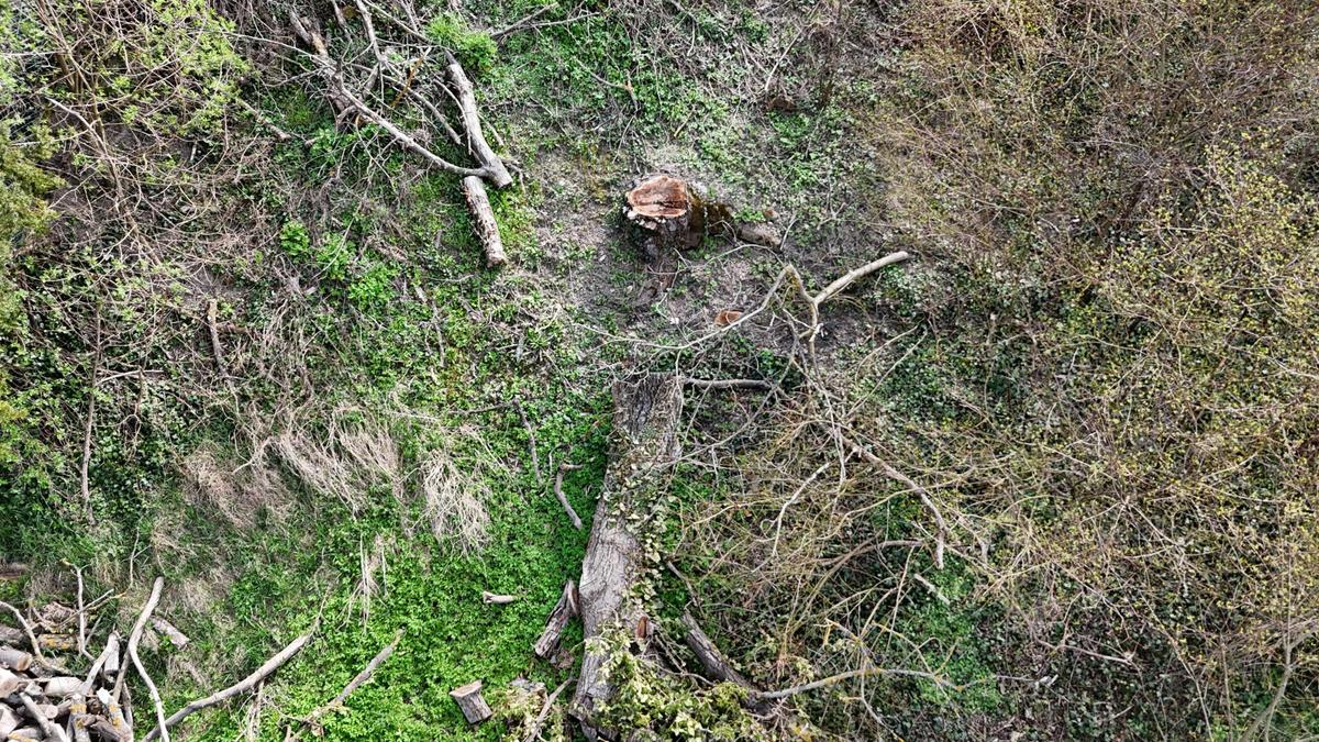 3 Baugrundst�ck in K�nigstetten