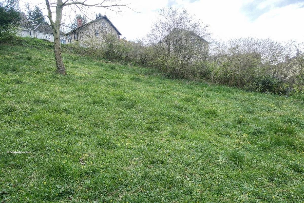 02 KI bearbeitetes Foto Baugrundst�ck K�nigstetten