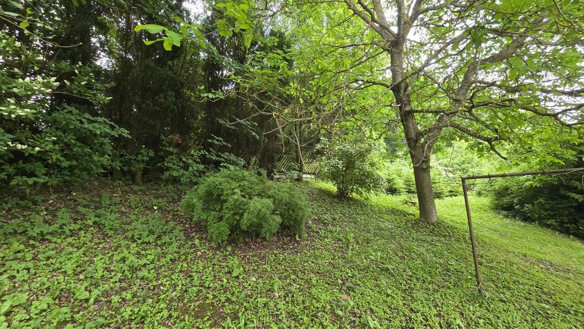 34 Garten