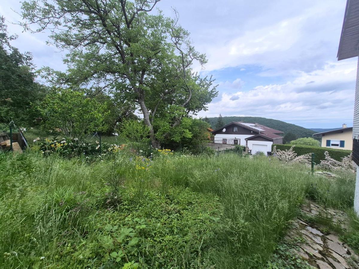 Grundst�ck in Wolfsgraben, Obj. 4138