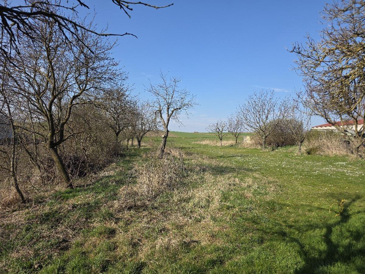 28 EFH 2004 Garten hintaus