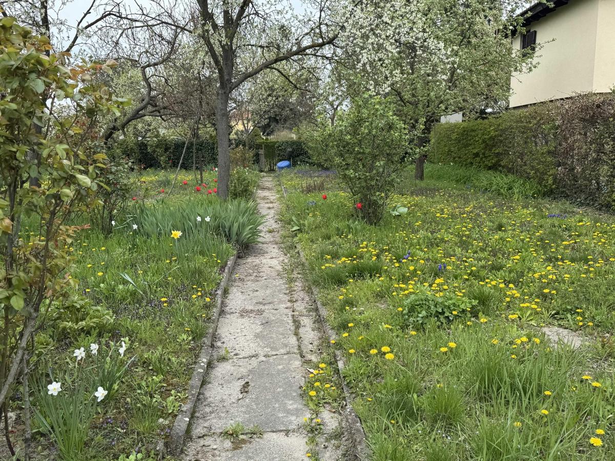 04. Kleingartengrundst�ck 2100 Korneuburg