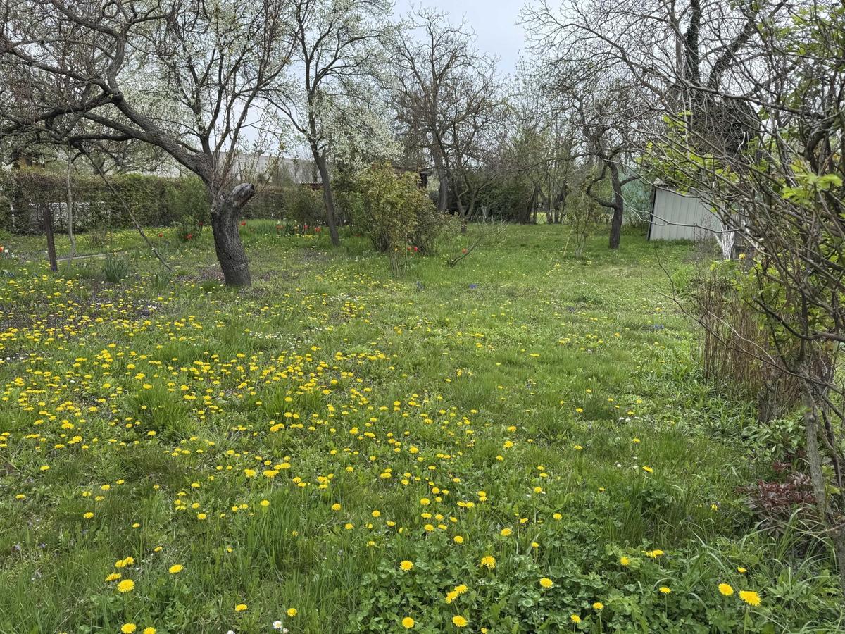 03. Kleingartengrundst�ck 2100 Korneuburg