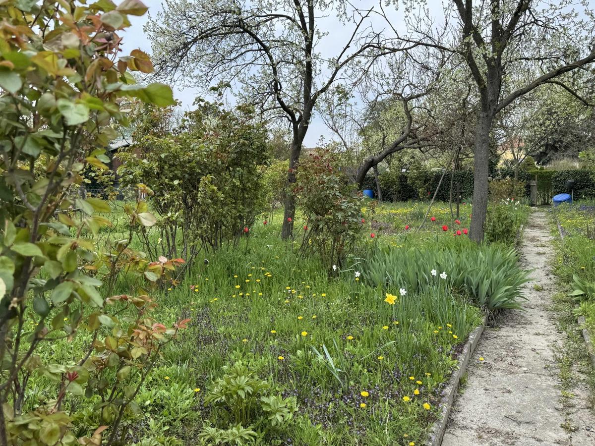 02. Kleingartengrundst�ck 2100 Korneuburg